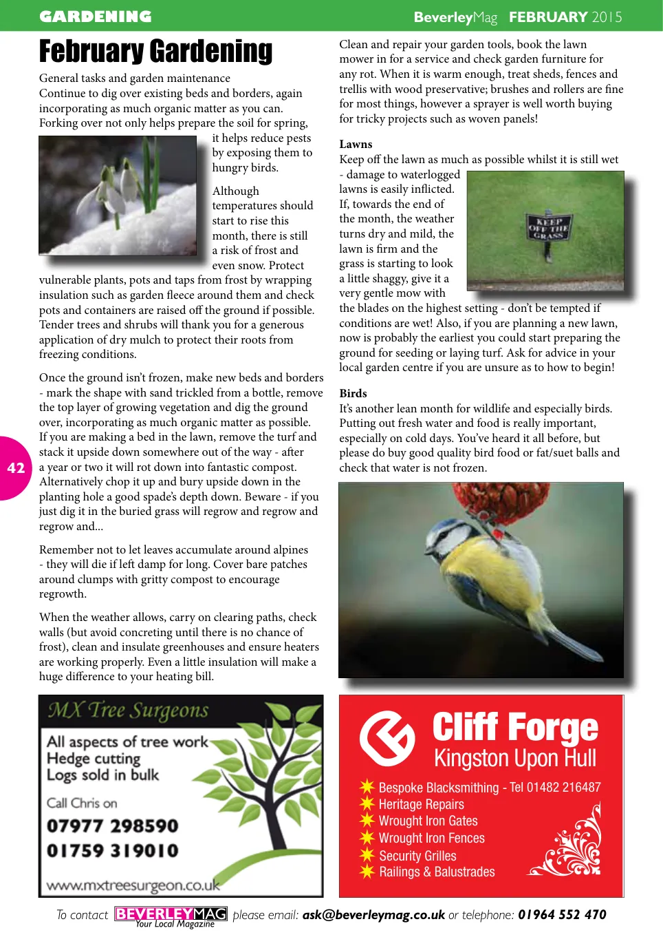 Beverley Magazine — February 2015 — Page 42 of 48