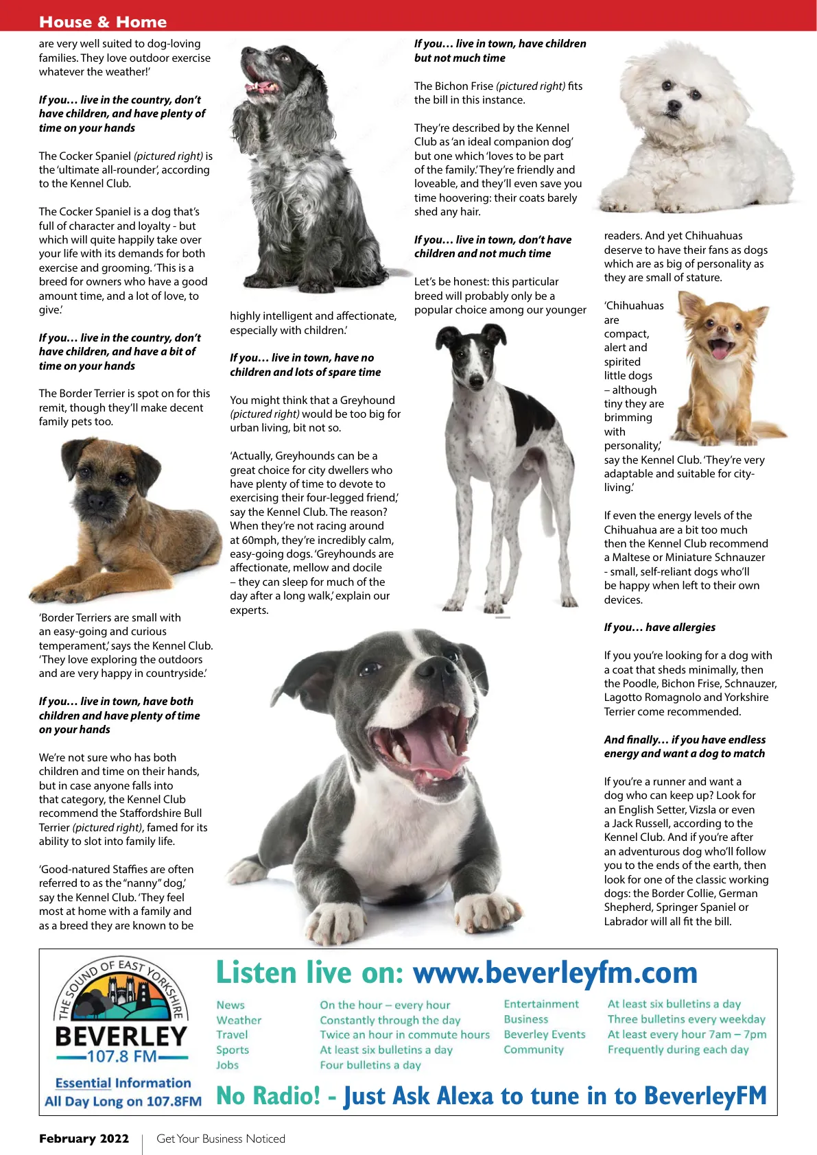 Beverley Magazine — February 2022 — Page 10 of 44