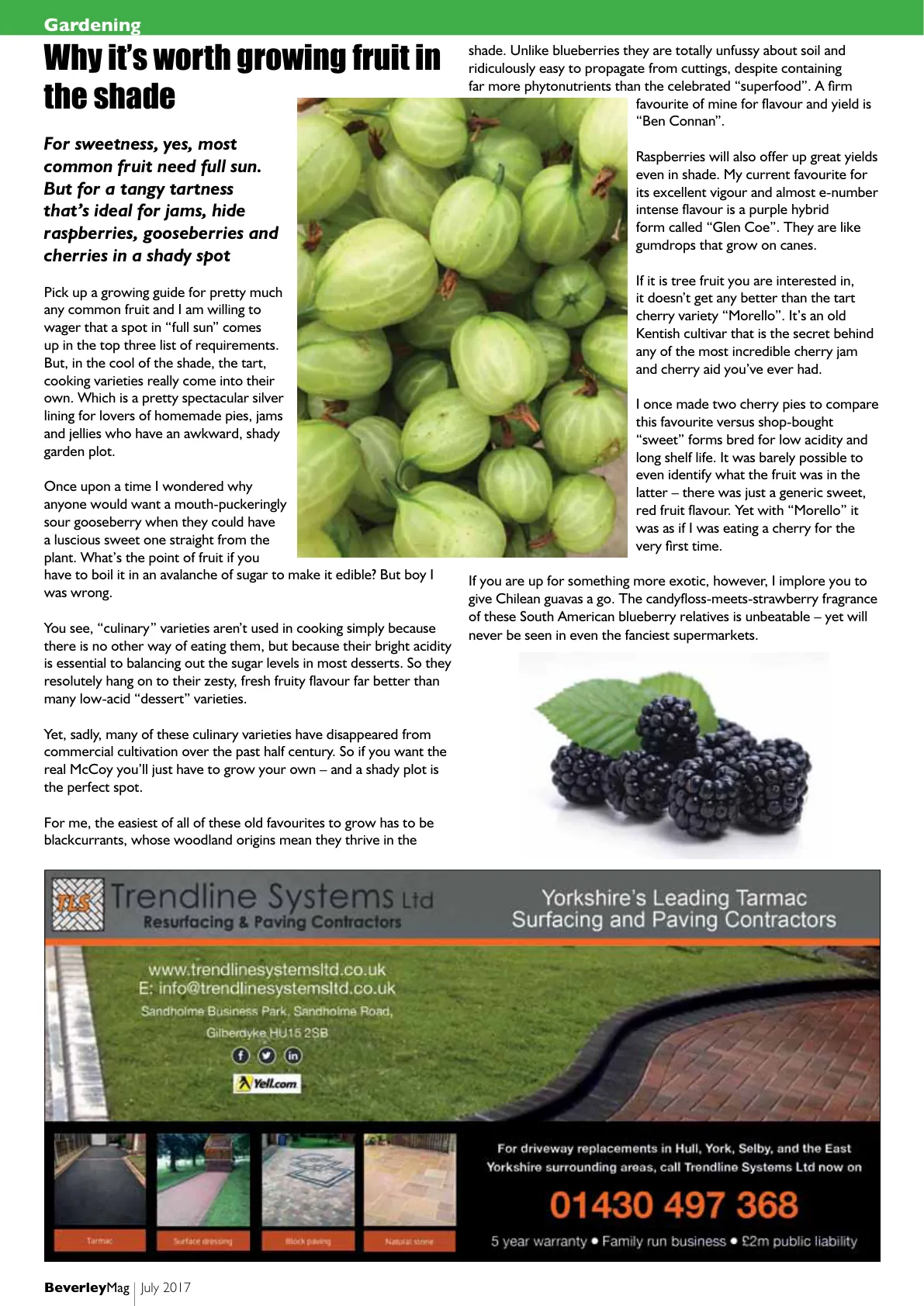 Beverley Magazine — July 2017 — Page 26 of 36