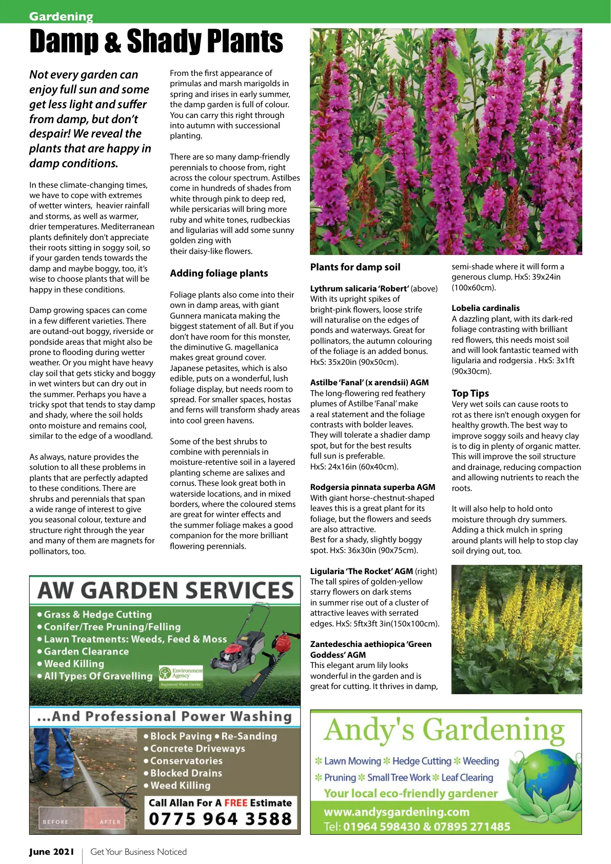 Beverley Magazine — June 2023 — Page 40 of 44