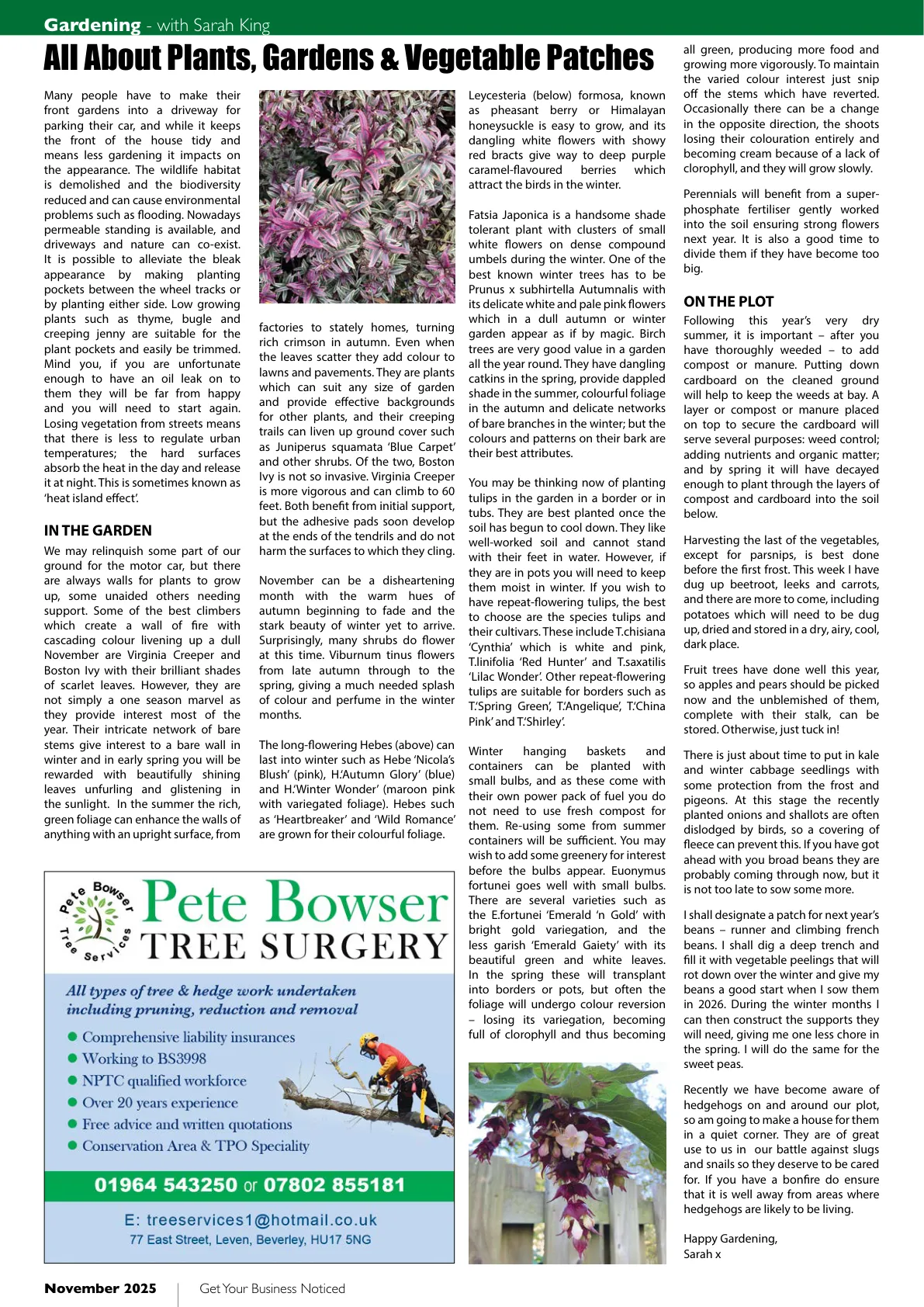 Beverley Magazine — November 2025 — Page 32 of 36