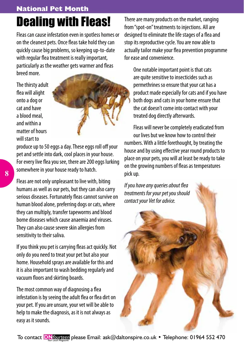 DNfourteen Magazine — April 2015 — Page 8 of 40