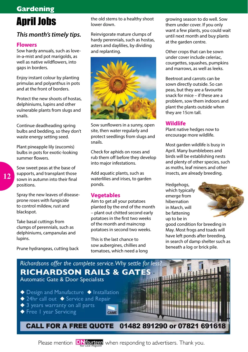 DN14 Magazine — April 2021 — Page 12 of 16