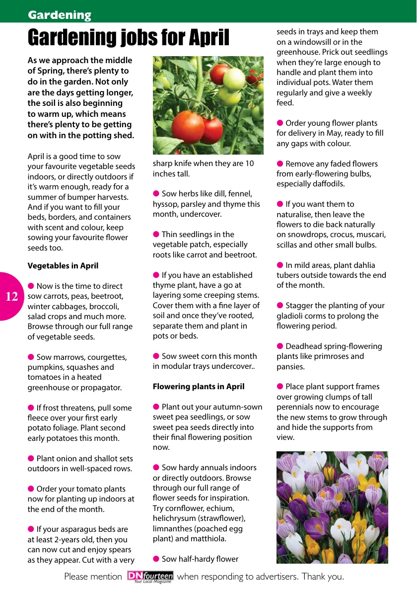 DNfourteen Magazine — April 2022 — Page 12 of 16