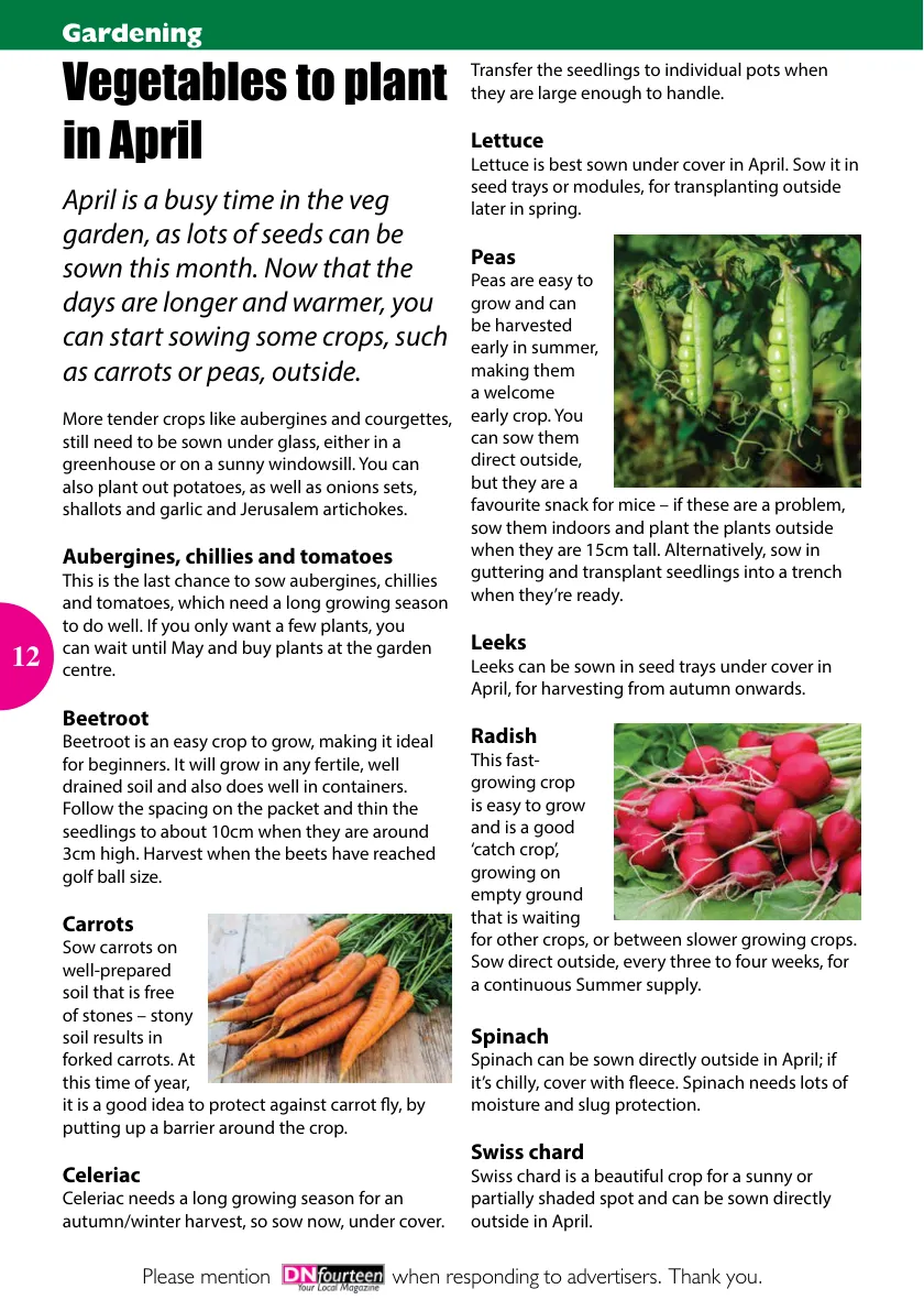 DNfourteen Magazine — April 2023 — Page 12 of 16