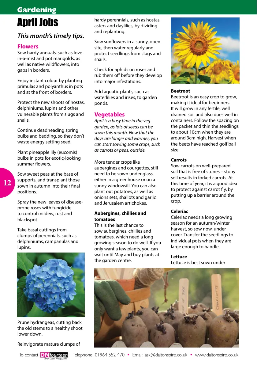 DN14 Magazine — April 2024 — Page 12 of 16