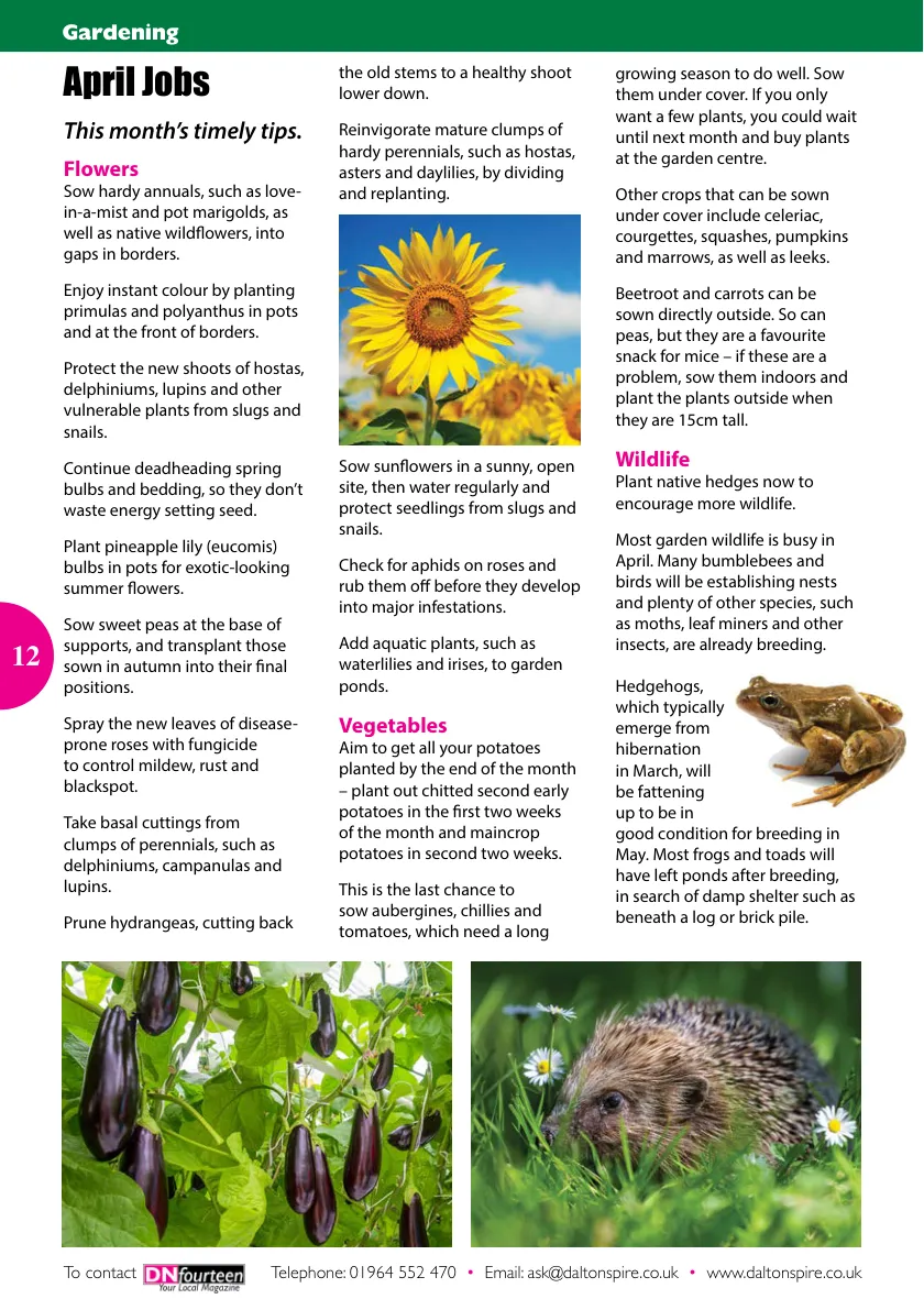 DN14 Magazine — April 2026 — Page 12 of 16