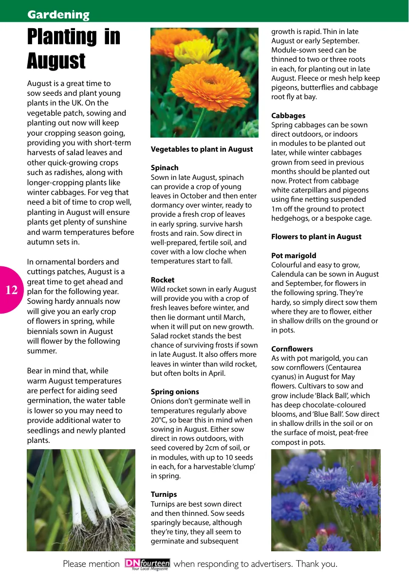 DNfourteen Magazine — August 2022 — Page 12 of 16