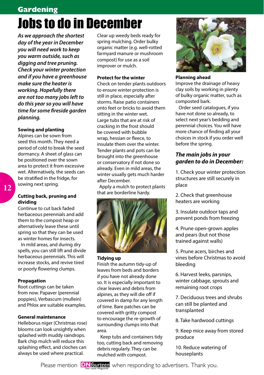 DNfourteen Magazine — December 2022 — Page 12 of 16