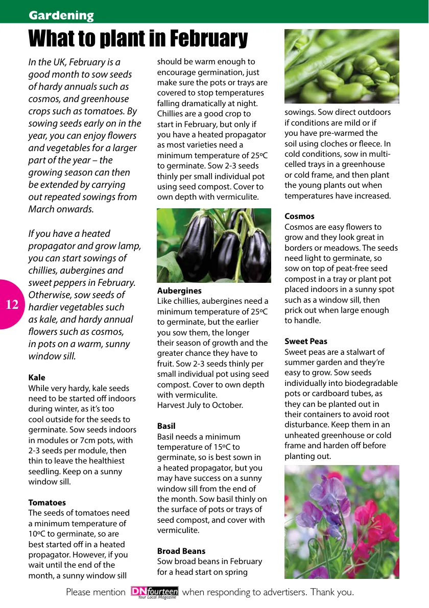 DNfourteen Magazine — February 2022 — Page 12 of 16