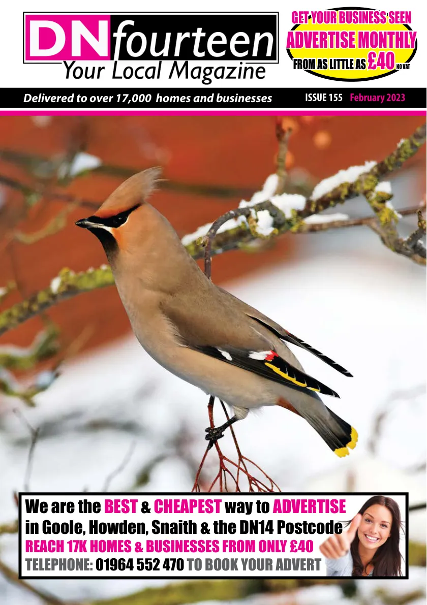 DNfourteen Magazine — February 2023 — Page 1 of 16