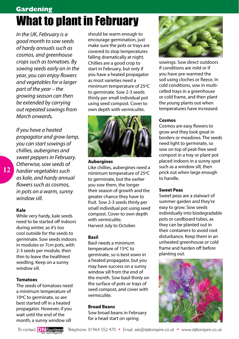 DN14 Magazine — February 2024 — Page 12 of 16