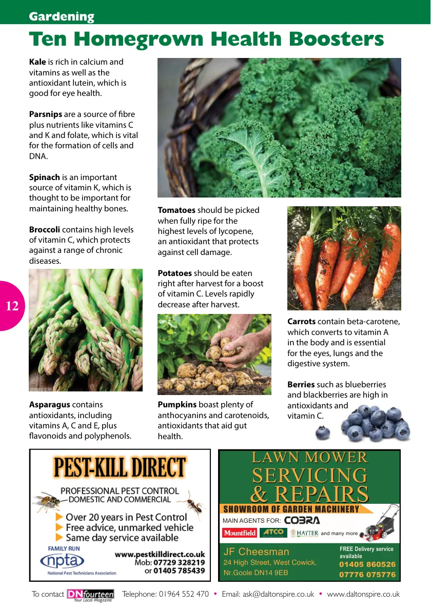 DN14 Magazine — February 2025 — Page 12 of 16