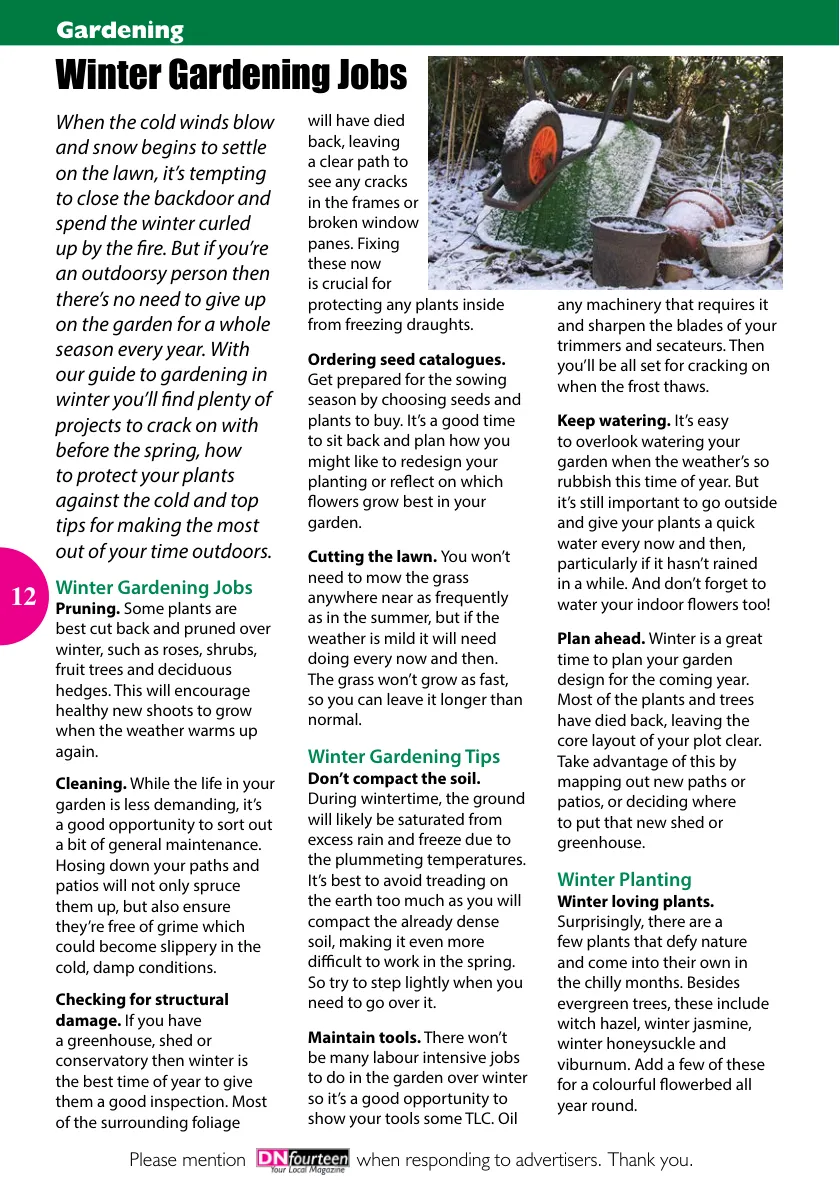 DNfourteen Magazine — January 2022 — Page 12 of 16