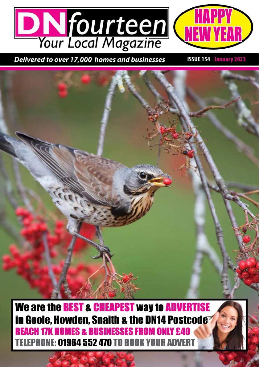 DNfourteen Magazine — January 2023 — Page 1 of 16