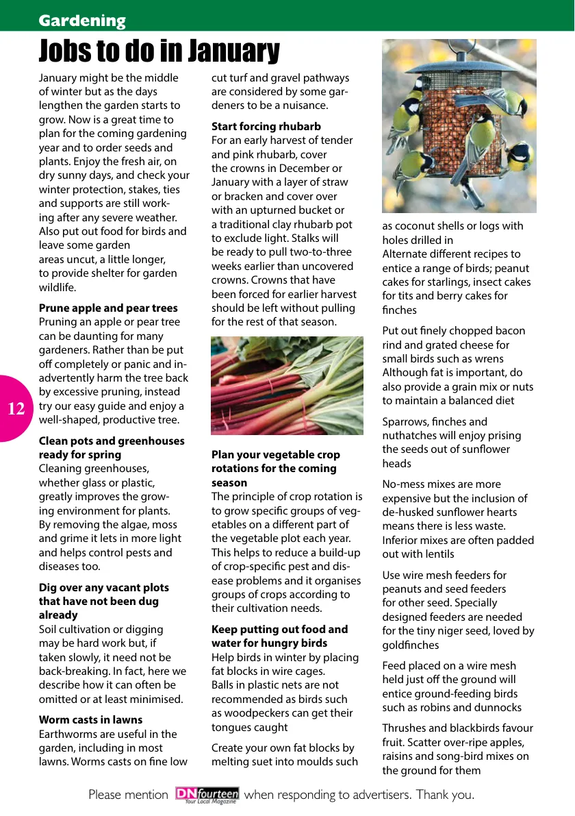 DNfourteen Magazine — January 2023 — Page 12 of 16