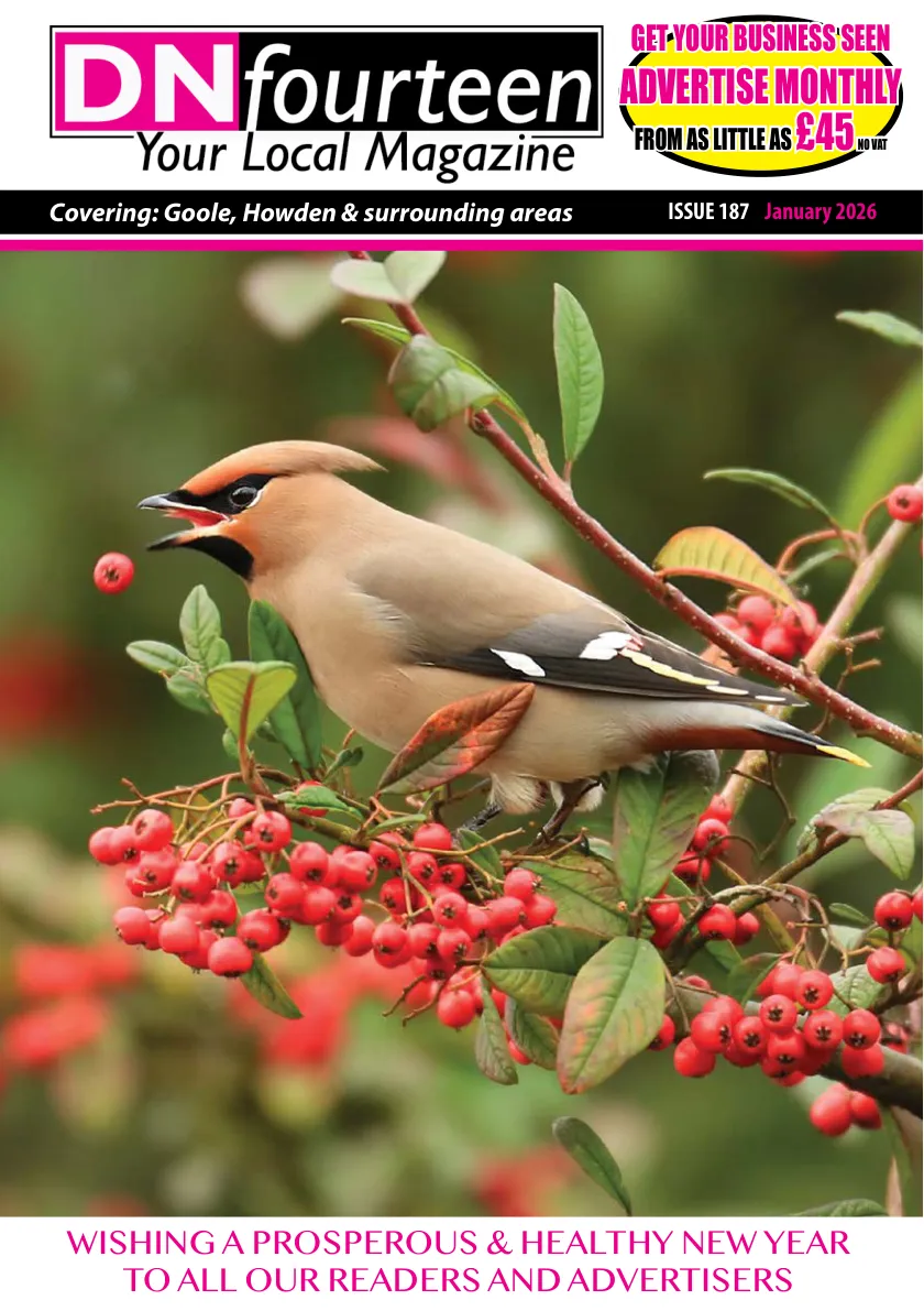 DN14 Magazine — January 2026 — Page 1 of 16