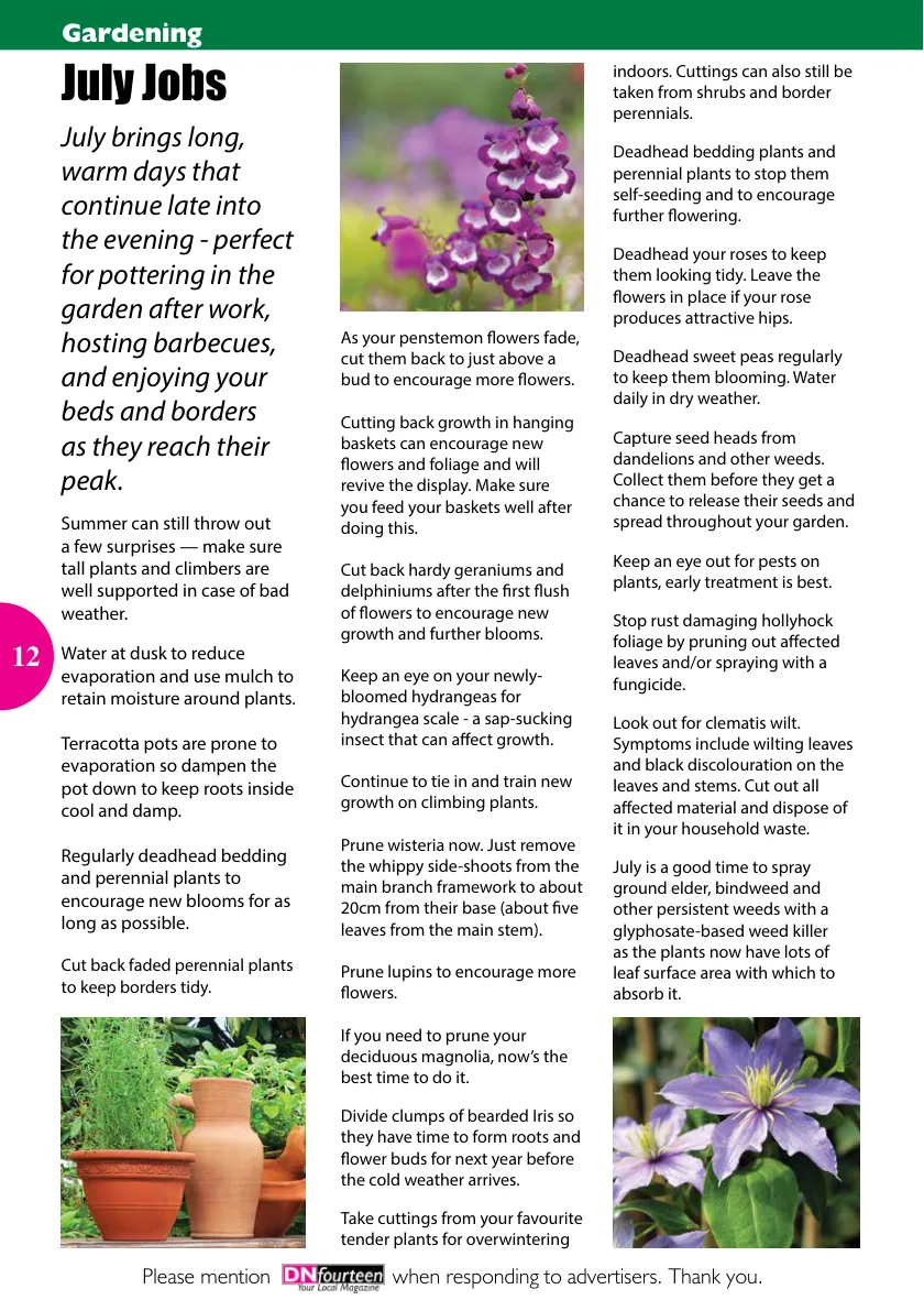 DNfourteen Magazine — July 2022 — Page 12 of 16