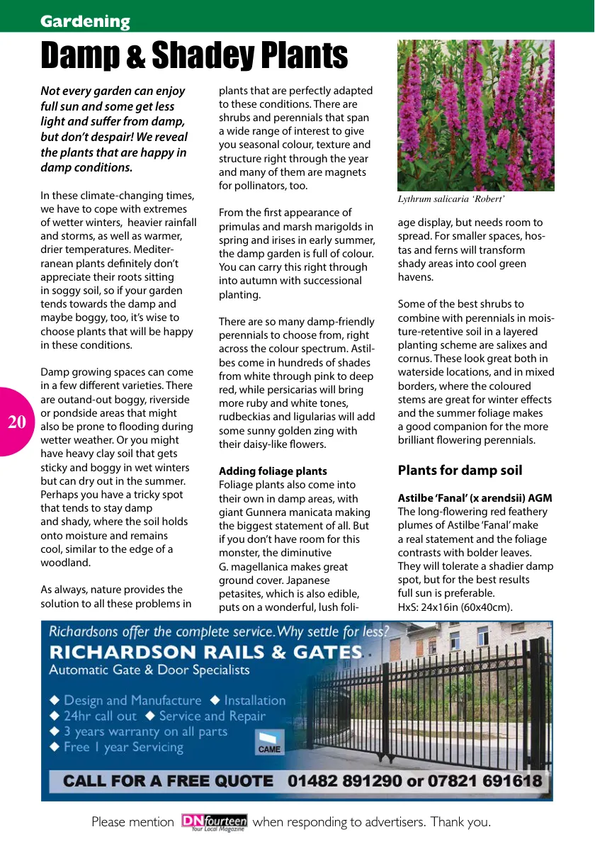 DN14 Magazine — June 2021 — Page 20 of 24