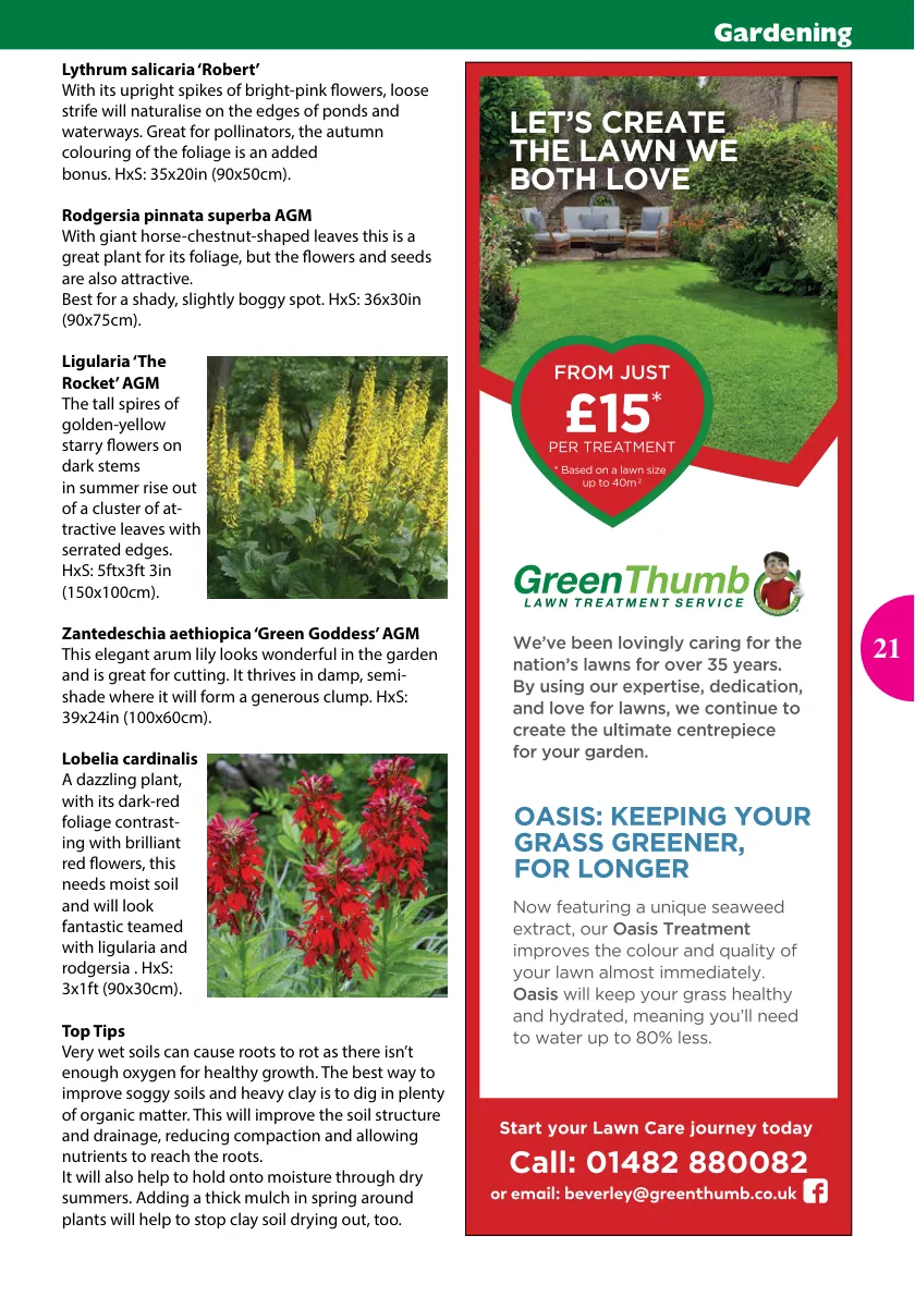 DN14 Magazine — June 2021 — Page 21 of 24