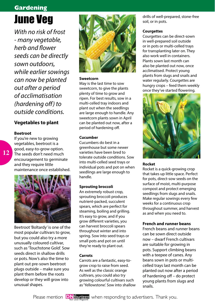 DNfourteen Magazine — June 2022 — Page 12 of 16