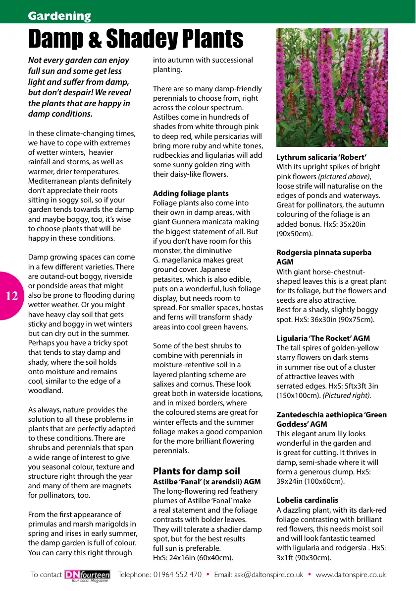 DN14 Magazine — June 2024 — Page 12 of 16