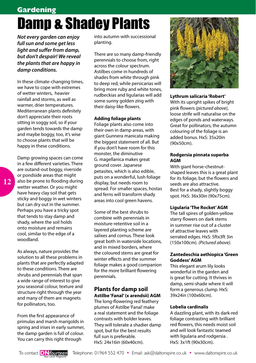 DN14 Magazine — June 2025 — Page 12 of 16