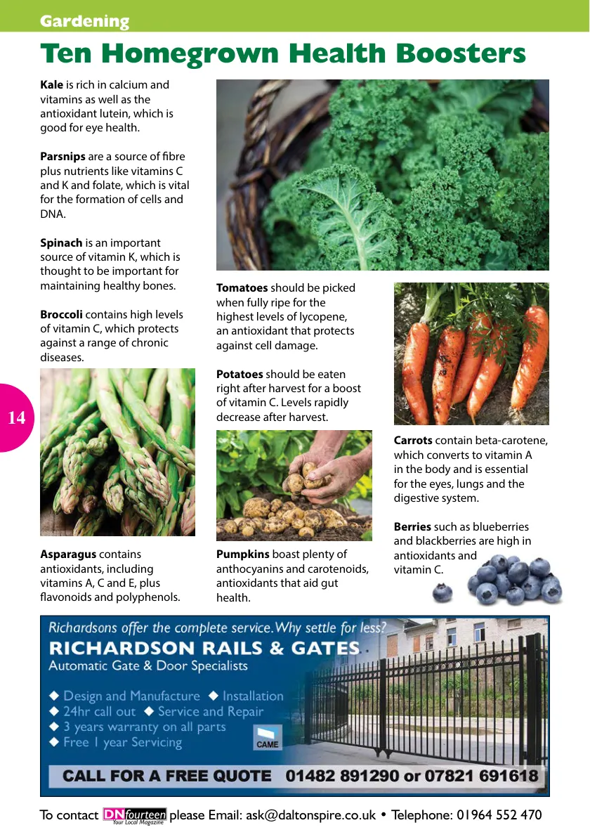 DNfourteen Magazine — March 2020 — Page 14 of 24