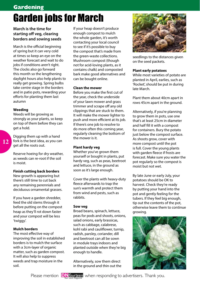 DNfourteen Magazine — March 2022 — Page 12 of 16