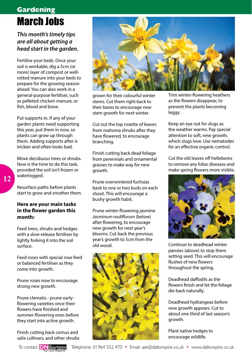 DN14 Magazine — March 2024 — Page 12 of 16