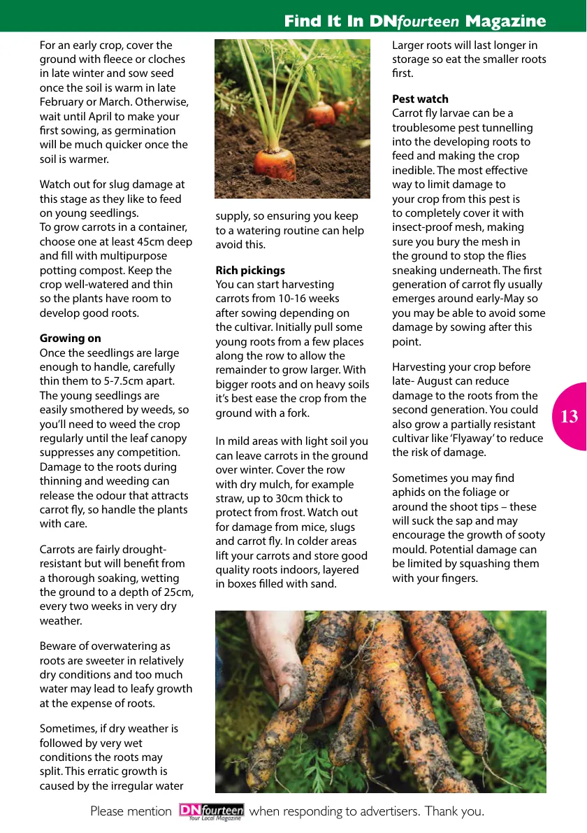 DN14 Magazine — March 2025 — Page 13 of 16