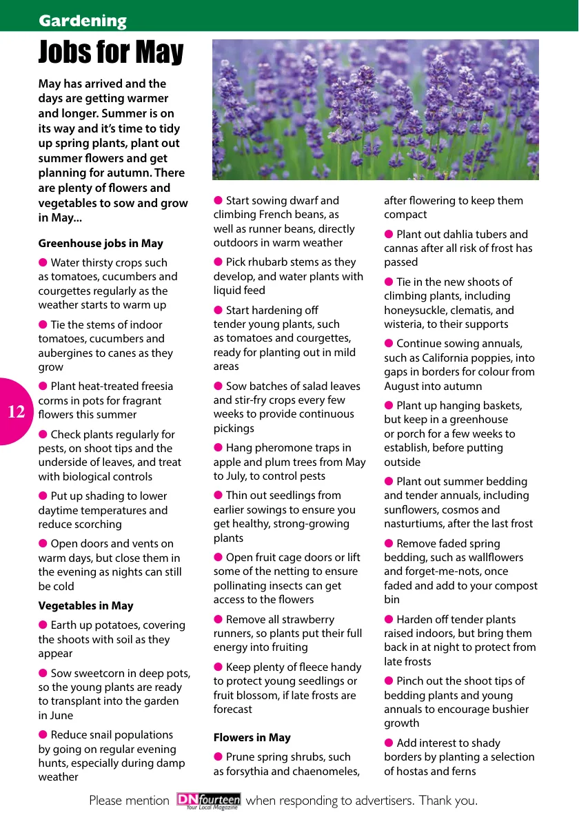 DNfourteen Magazine — May 2022 — Page 12 of 16