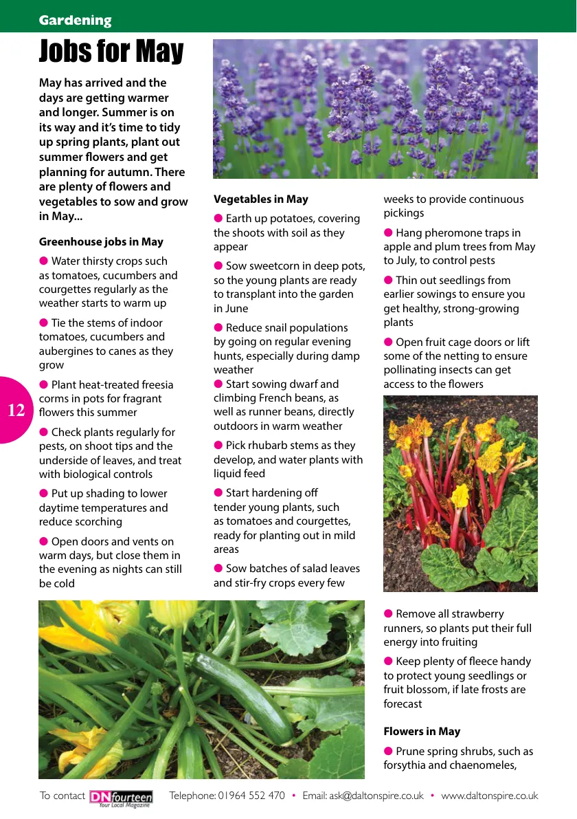 DN14 Magazine — May 2026 — Page 12 of 16