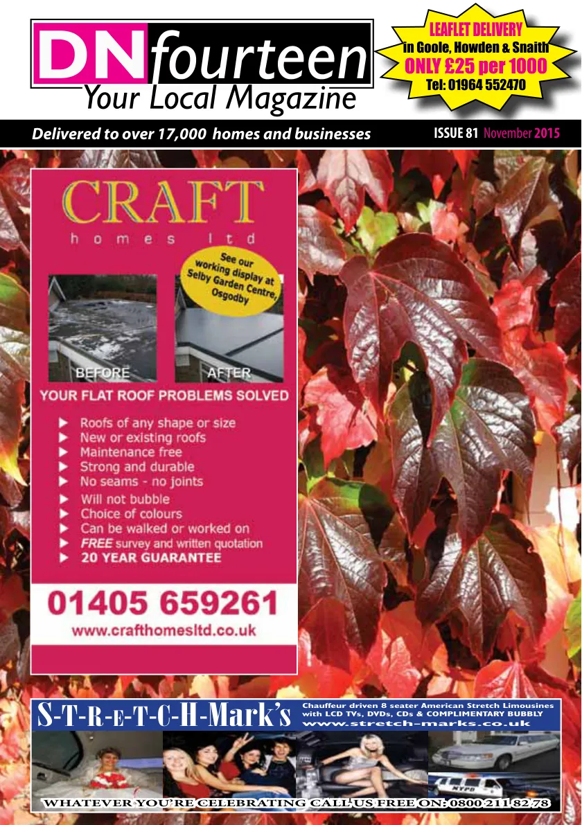 DNfourteen Magazine — November 2015 — Page 1 of 40