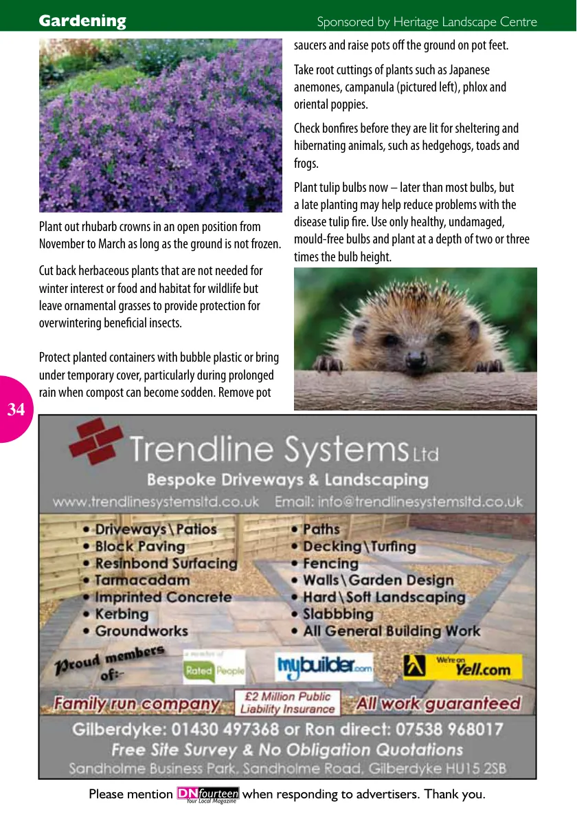 DNfourteen Magazine — November 2015 — Page 34 of 40