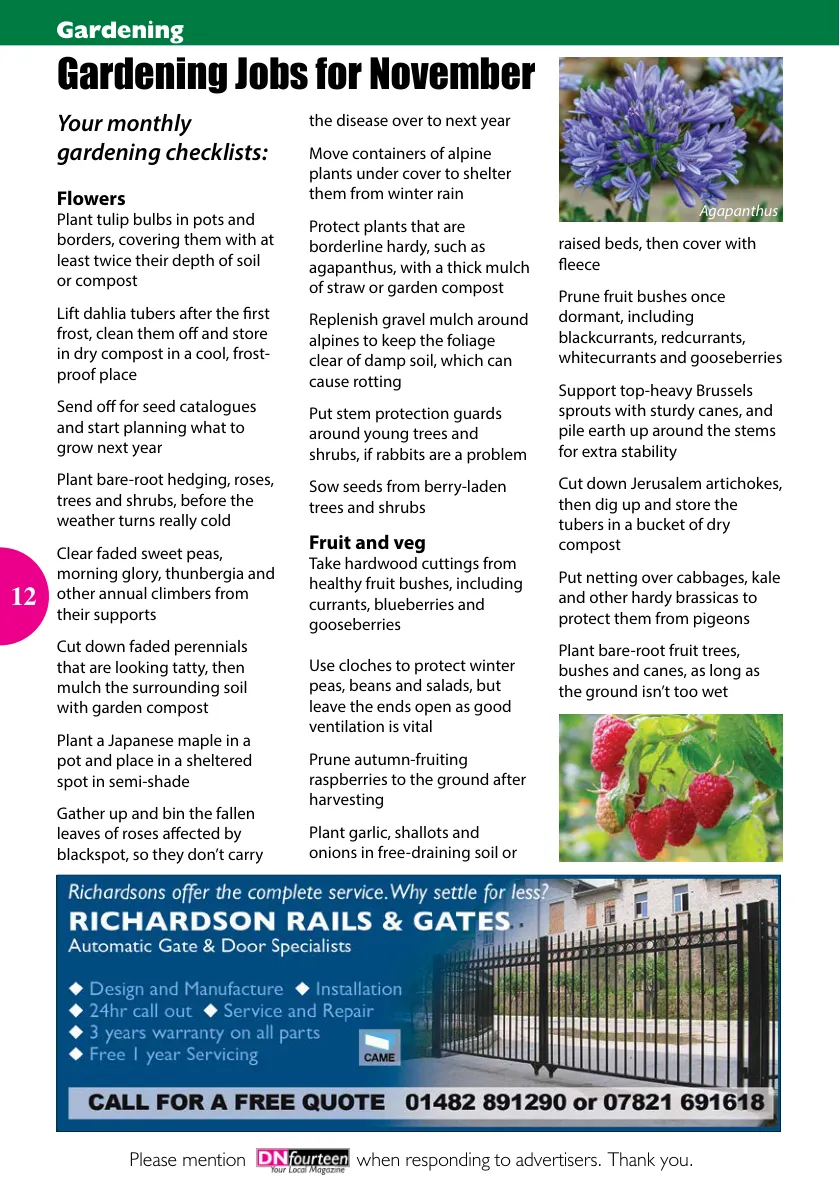 DN14 Magazine — November 2021 (Issue 140) — Page 12 of 16