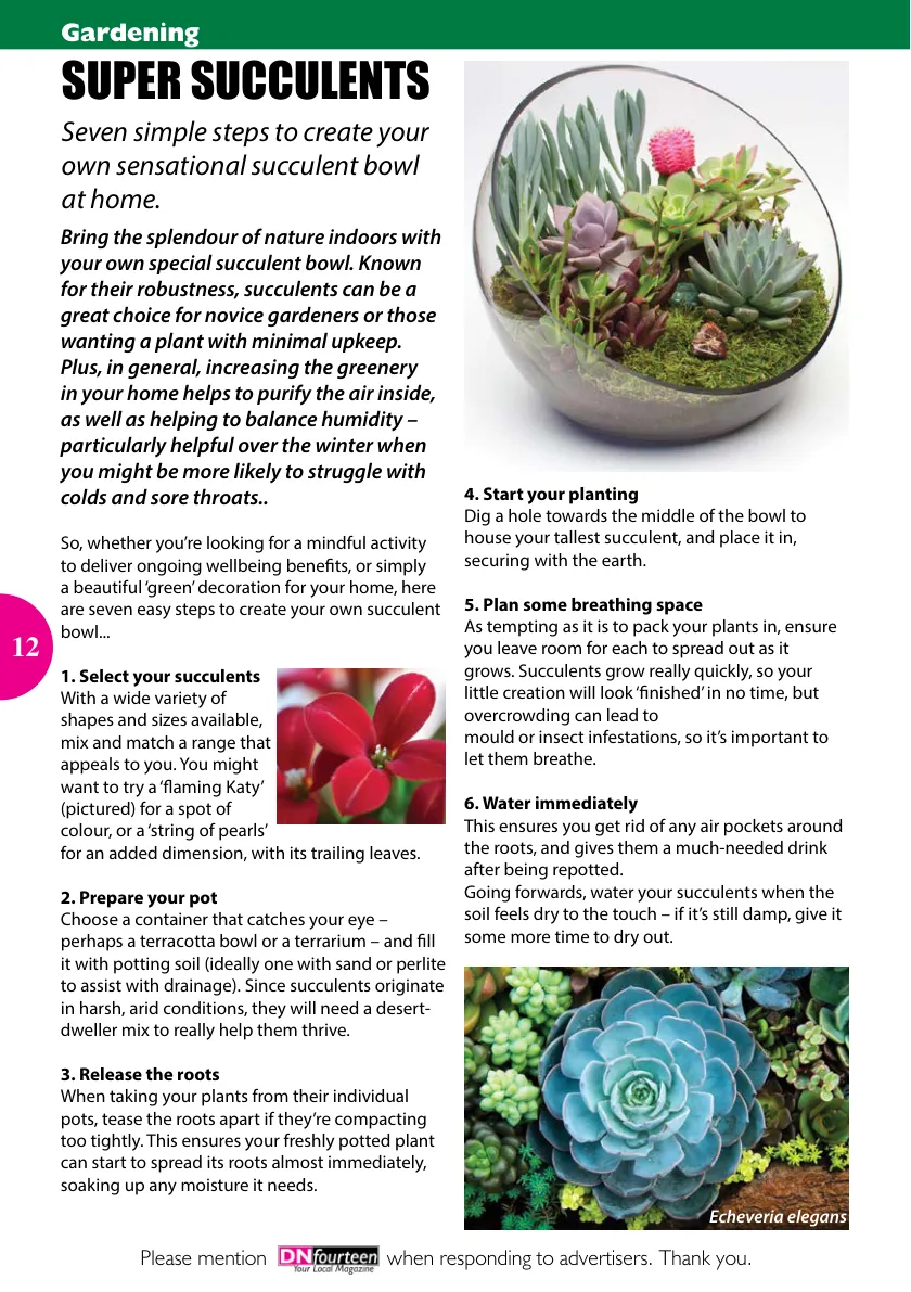 DNfourteen Magazine — November 2022 — Page 12 of 16