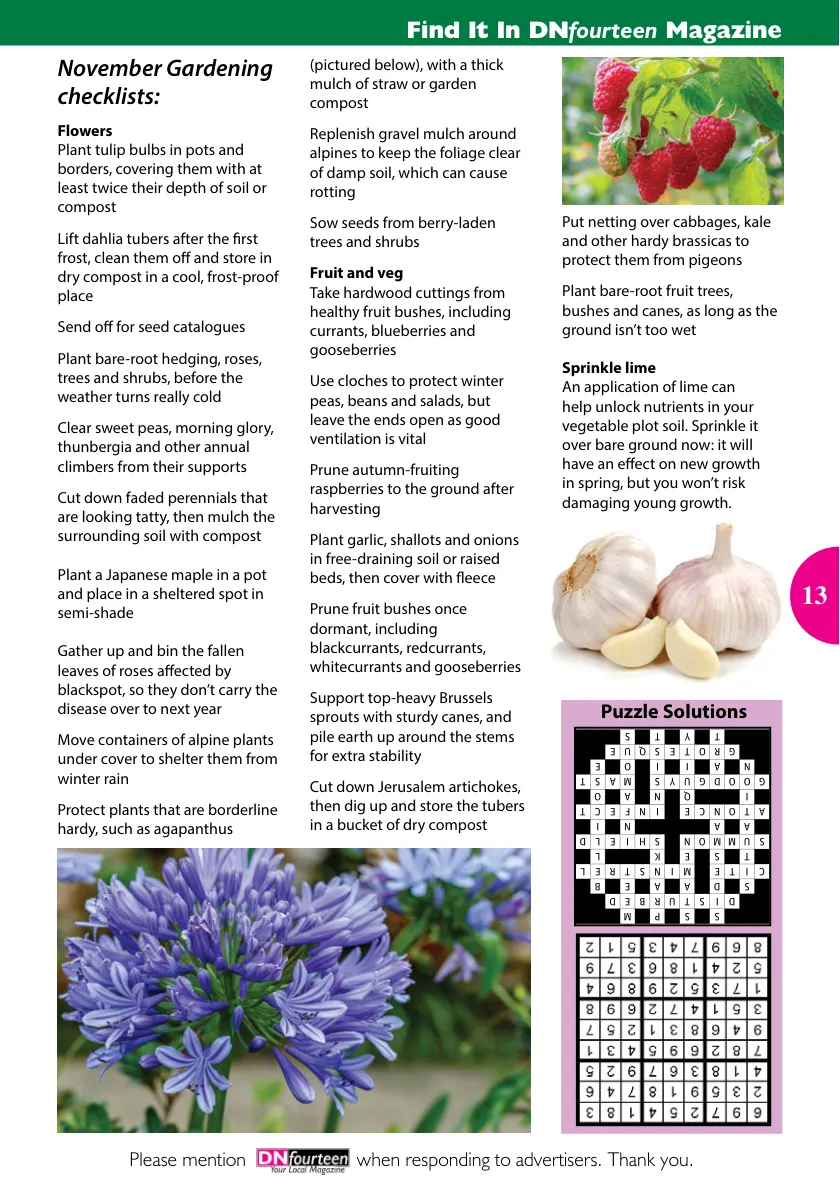 DN14 Magazine — November 2025 — Page 13 of 16