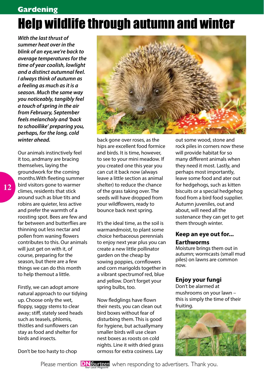 DN14 Magazine — October 2021 (Issue 139) — Page 12 of 32