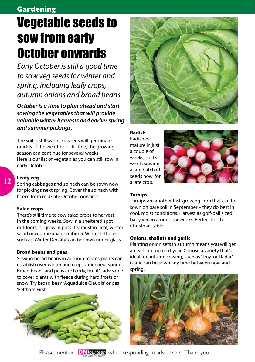 DNfourteen Magazine — October 2022 — Page 12 of 16