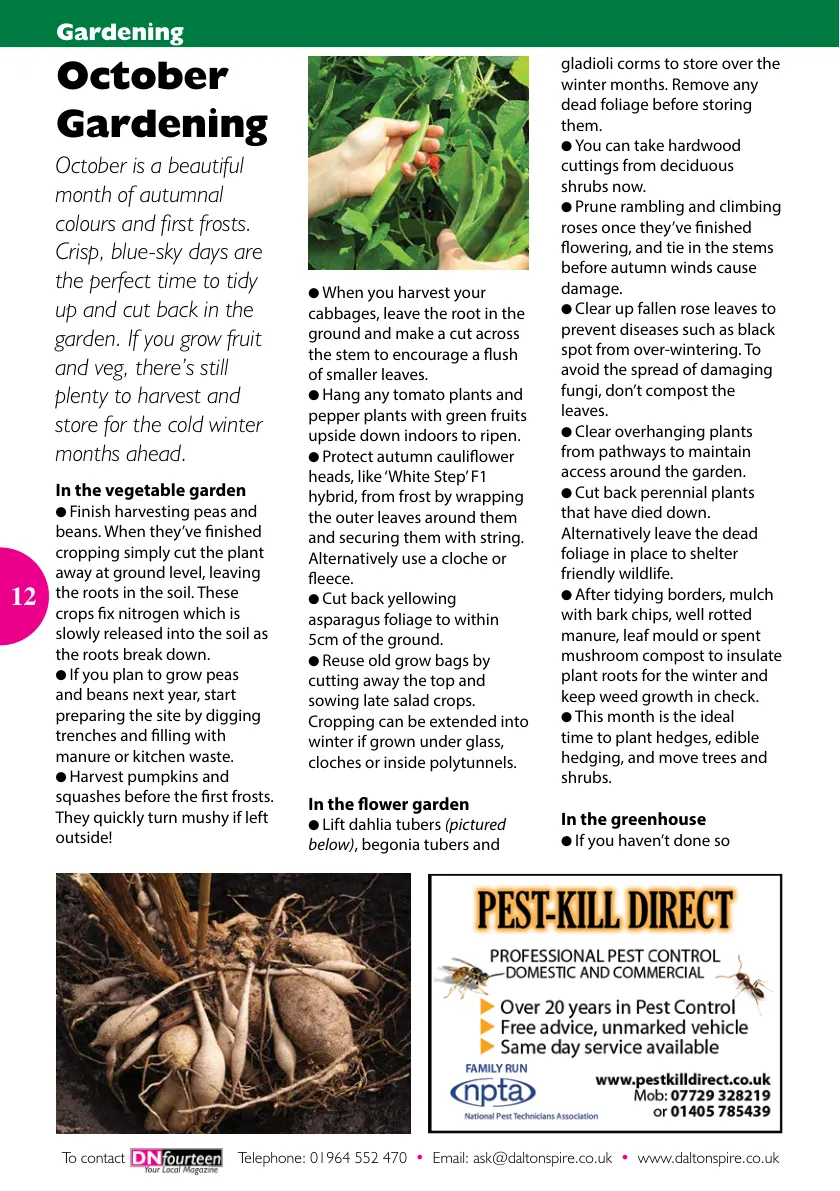 DN14 Magazine — October 2025 — Page 12 of 16