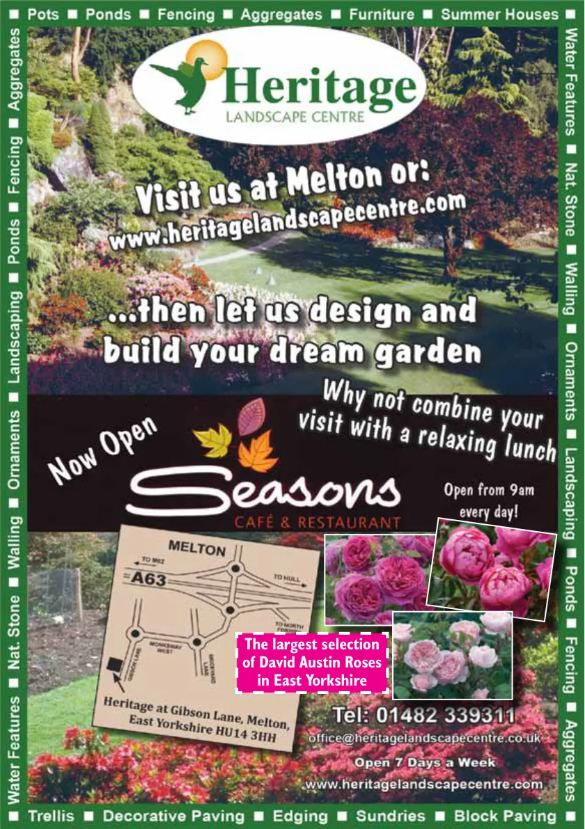 DNfourteen Magazine — September 2015 — Page 33 of 40