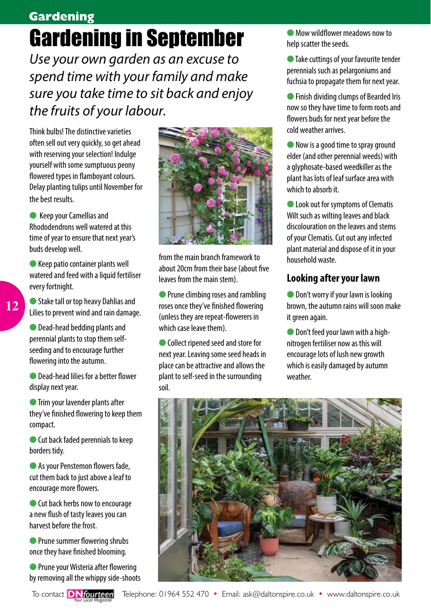 DN14 Magazine — September 2024 — Page 12 of 16