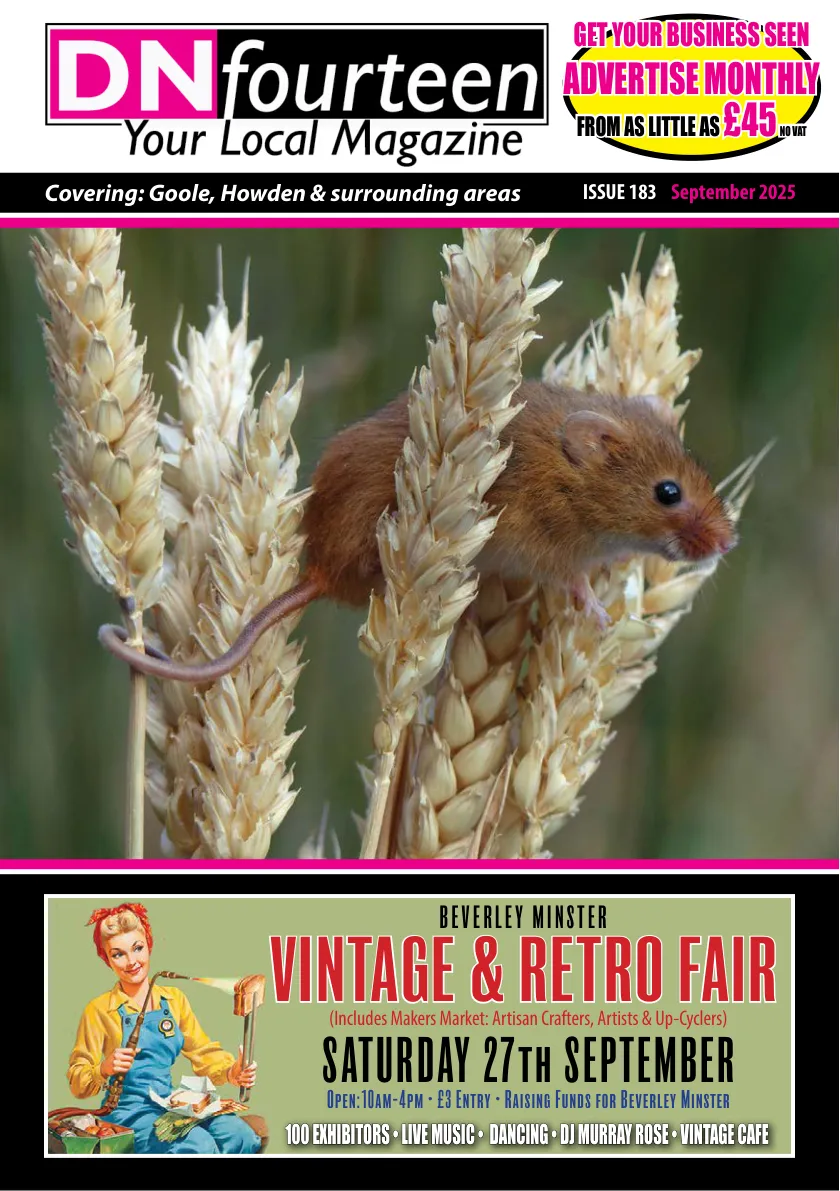 DN14 Magazine — September 2025 — Page 1 of 16