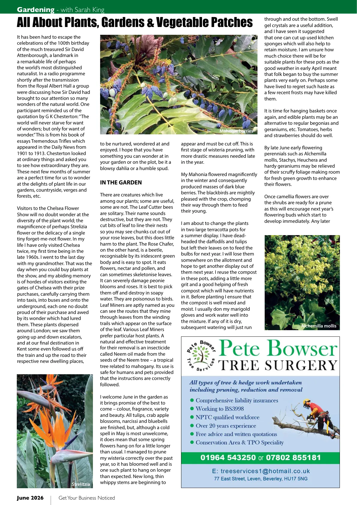 Hull Magazine — June 2026 — Page 32 of 36