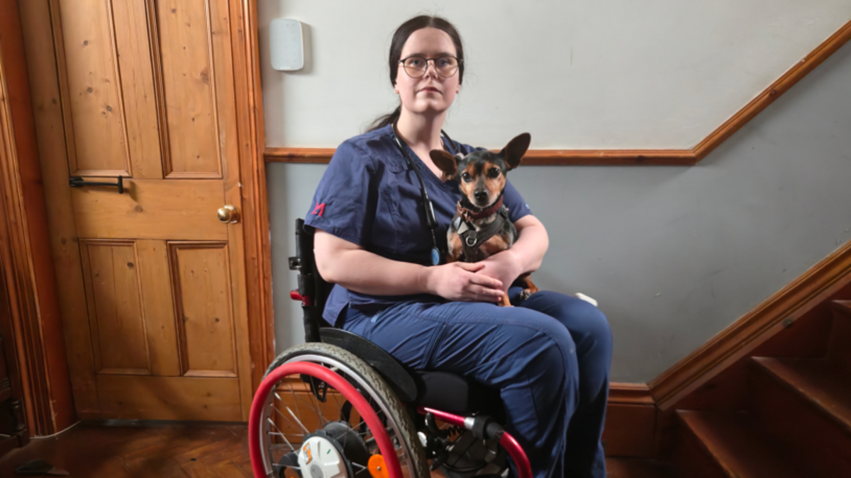 East Yorkshire Vet Urges Pet Owners to Follow Their Instincts in Final Moments