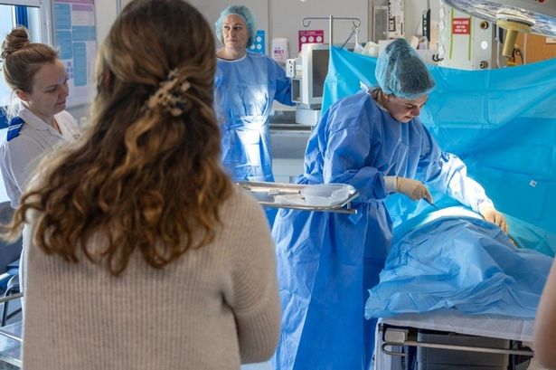 Explore a Rewarding Career in Midwifery at Hull's Second Springboard Event
