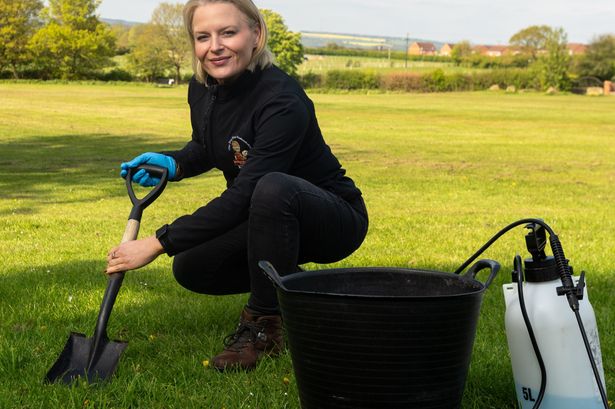 From Droppings to Dollars: East Yorkshire Entrepreneur Thrives in Pet Waste Management