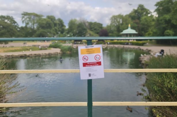 Health Concerns Rise as Toxic Algae Detected in Pearson Park