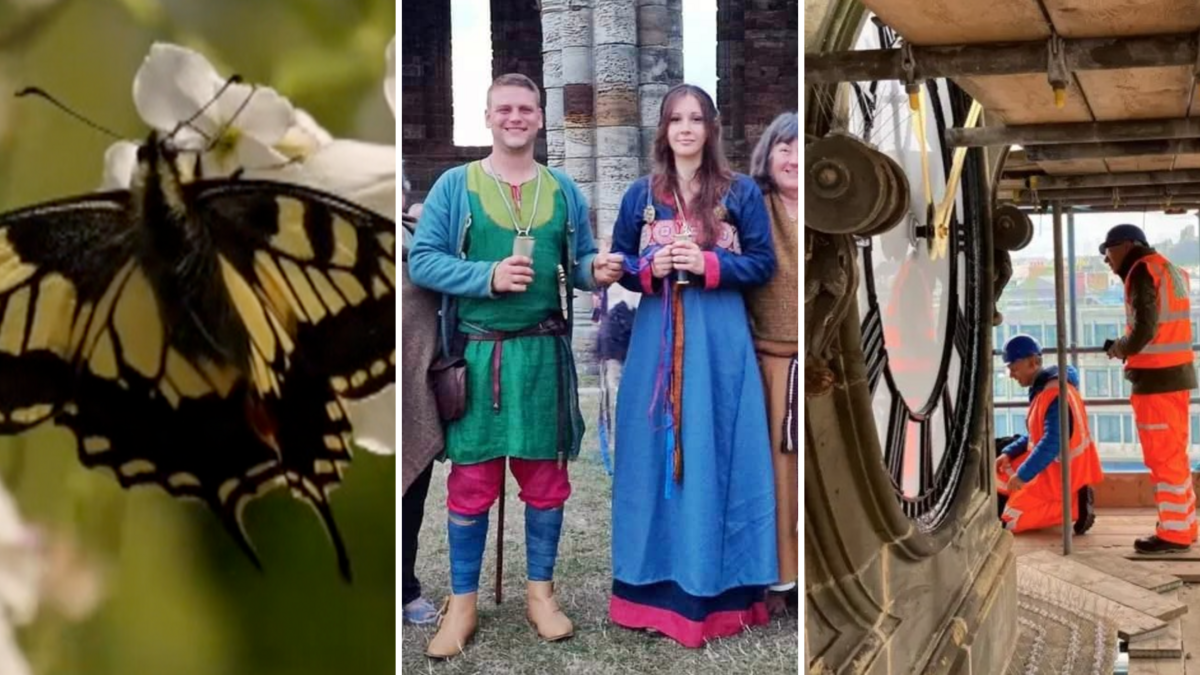 Heartwarming Tales and Environmental Triumphs Brighten East Yorkshire